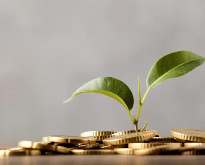 Estrategias de Ahorro e Inversión para una vida financiera saludable