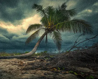 Resiliencia y adaptabilidad