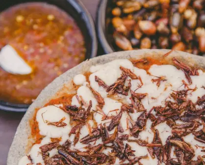 Pixza: La revolución mexicana de la pizza con impacto social