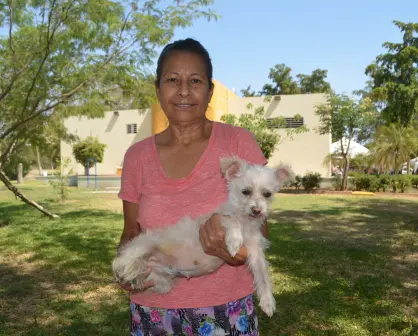 Una historia que inspira: Norma y "Chiquita", ejemplo de amor y respeto hacia los animales en Culiacán
