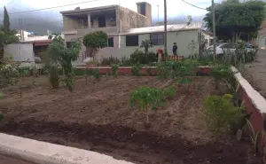 En Barrancos también hay tierra fértil y un huerto urbano que da buenos frutos