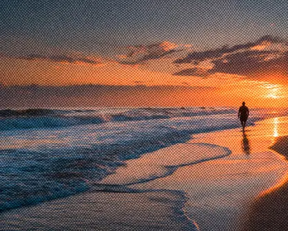 Bienestar y Felicidad