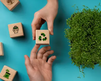 Inversión Temprana y Finanzas Sustentables: Un Camino hacia un Futuro Responsable.