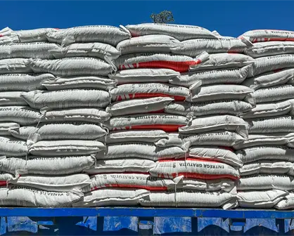 Anuncian reinicio de pagos de 750 pesos a maiceros en Sinaloa