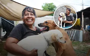 Rosy Cortez, ejemplo de nobleza y empatía: su amor convierte el sacrificio en esperanza para 23 perritos en Culiacán