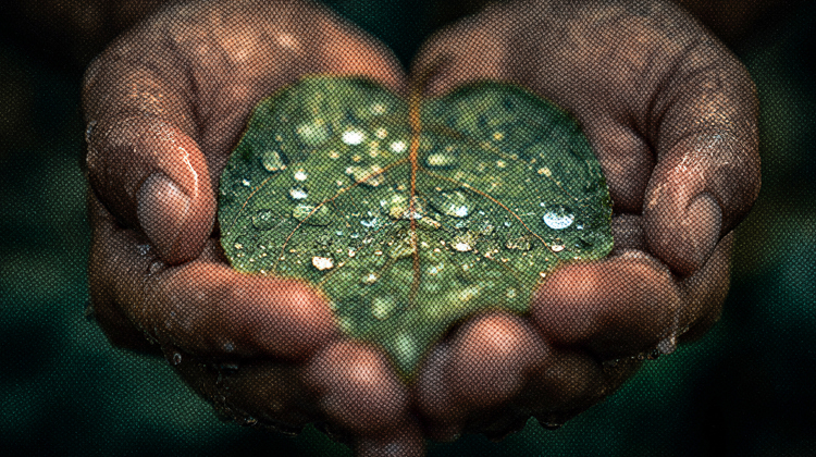 Manejo de Frustación
