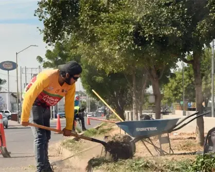 Retiran la maleza de los camellones de Culiacán